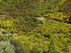 Hochwald - China